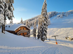 Apartmaji Golob-Golte